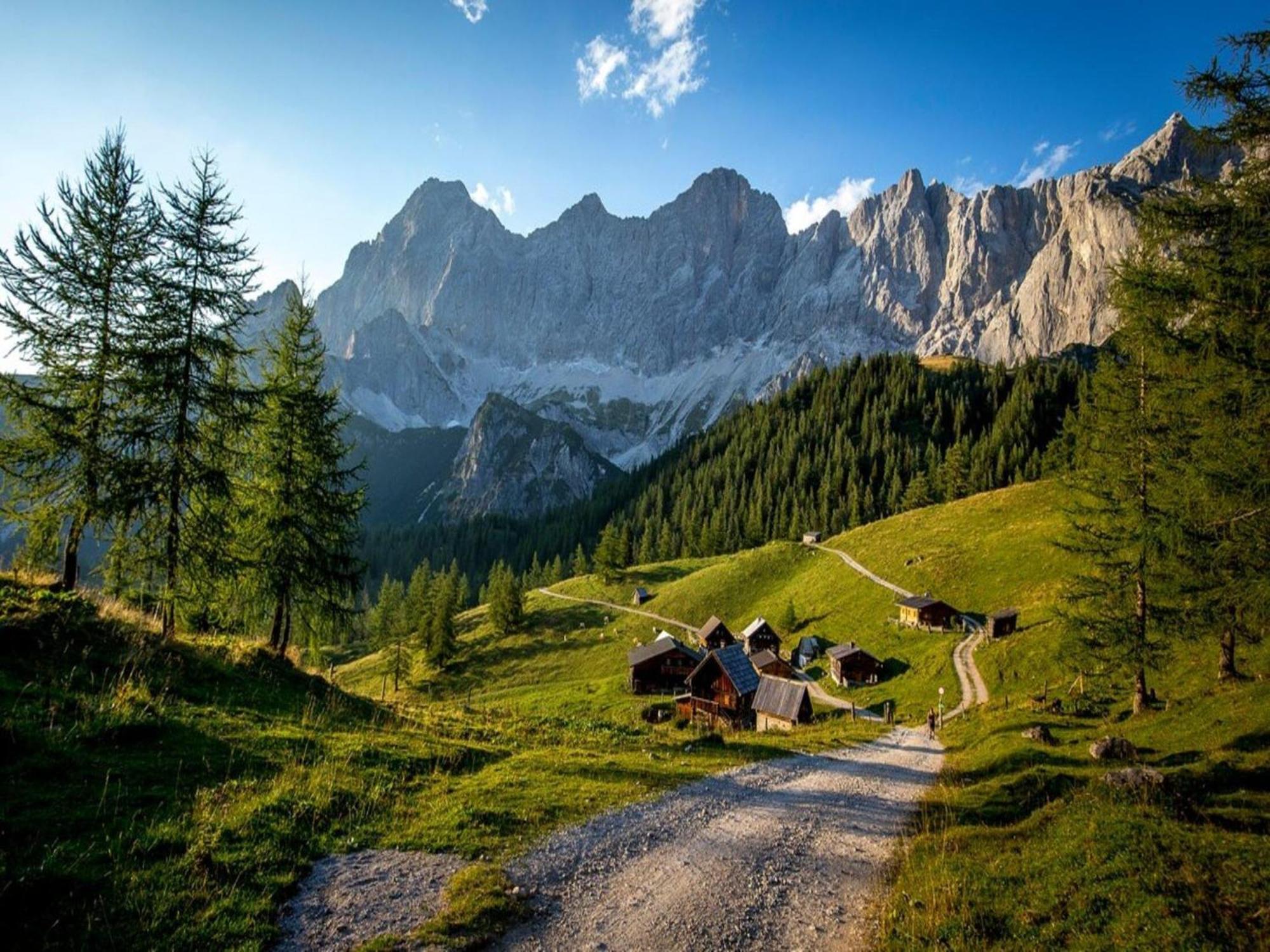 Hermann, Ramsau am Dachstein